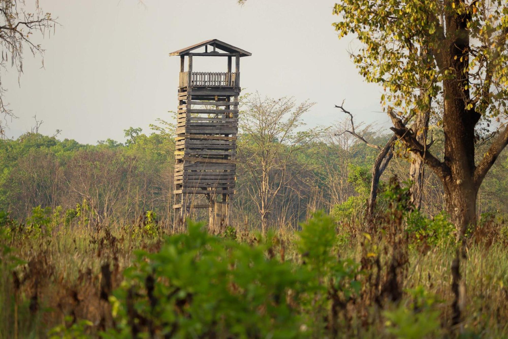 Forest Hideaway Resort Pvt Ltd Bardiya Exterior foto